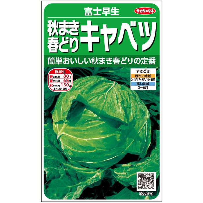 キャベツ 富士早生｜種（タネ）,球根,苗,資材,ガーデニンググッズの