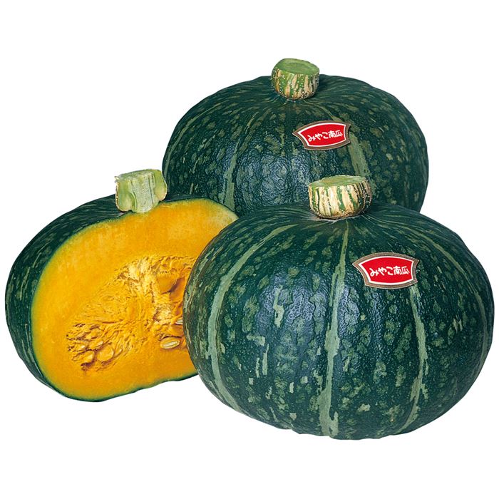 神奈川 伊藤農園カボチャ オールスター6種セット｜種（タネ）,球根,苗
