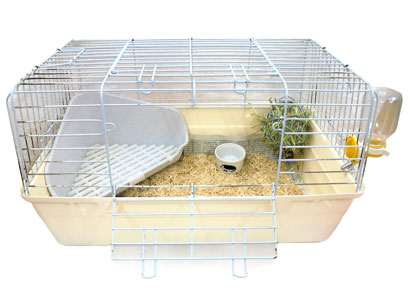 うさぎ飼育セット