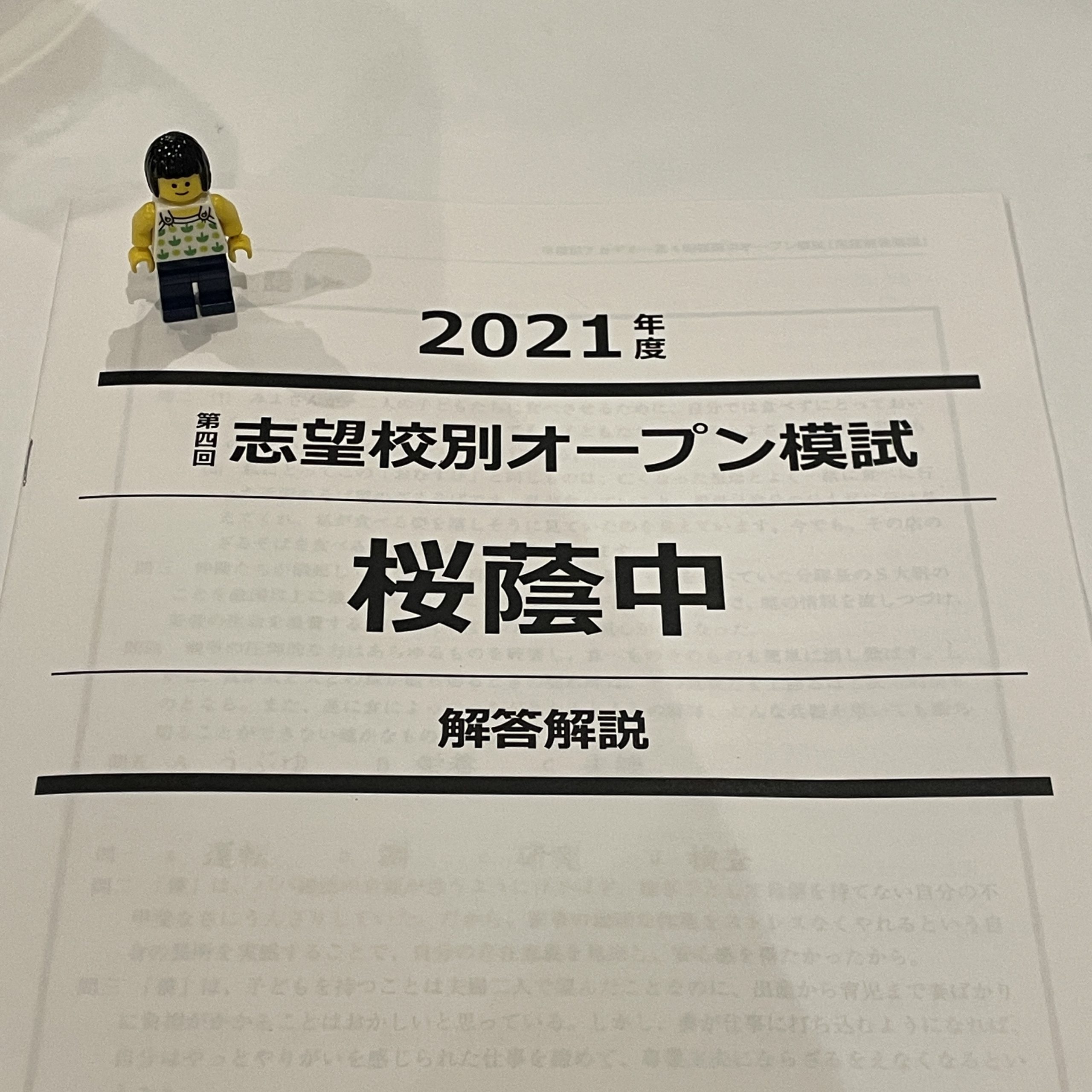 小6/早稲アカ：第4回NN志望校別オープン模試 桜蔭（無事に受験