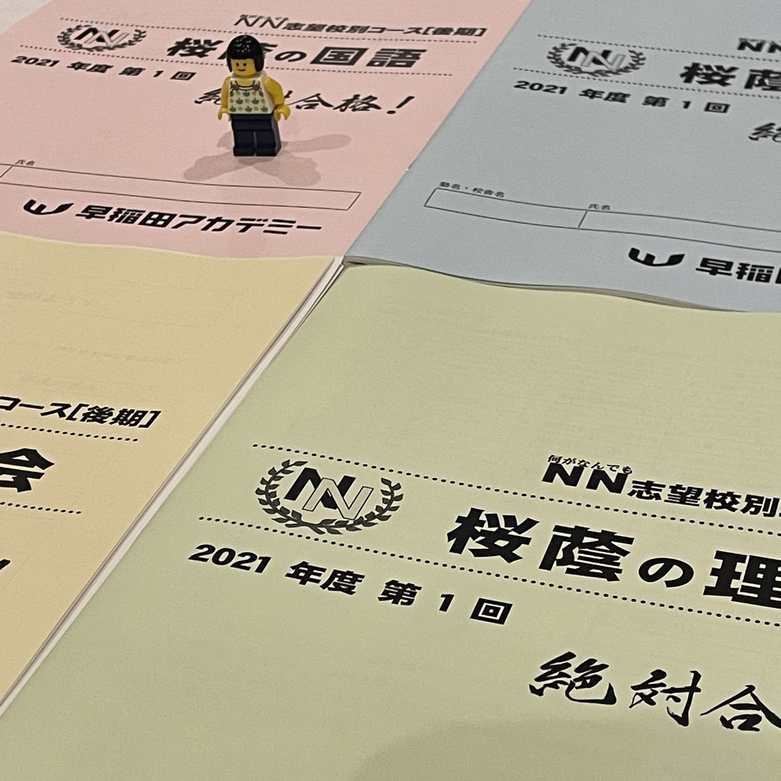 小6/早稲アカ：第4回NN志望校別オープン模試 桜蔭（NN桜蔭のテキスト