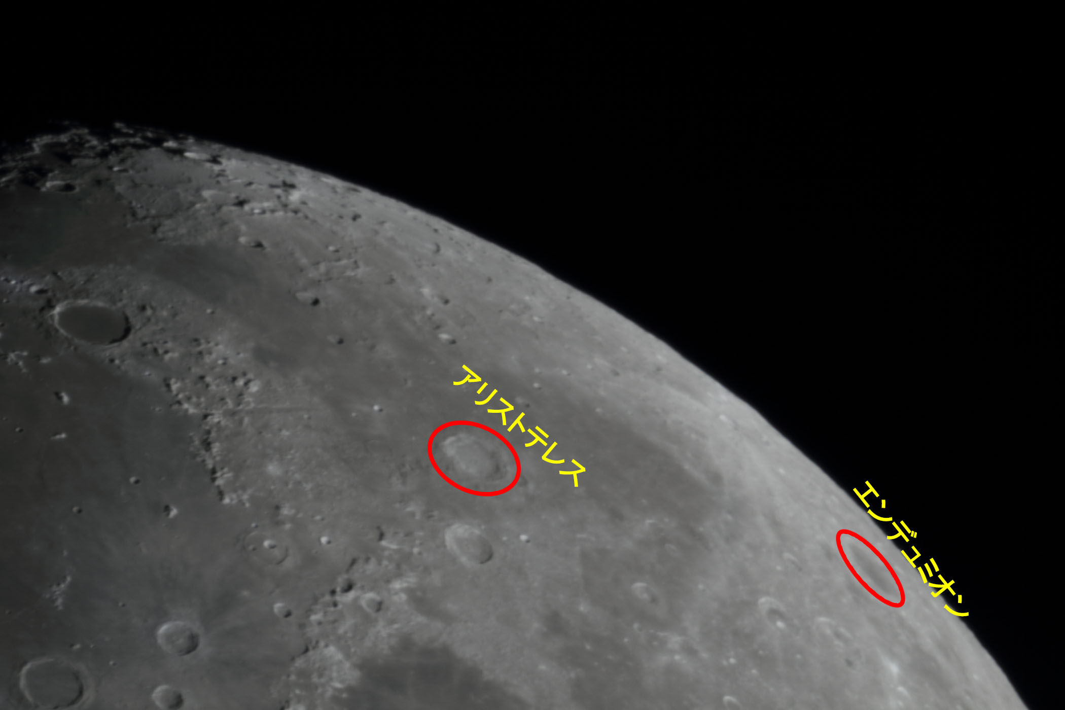 せんだい宇宙館－ギャラリー－