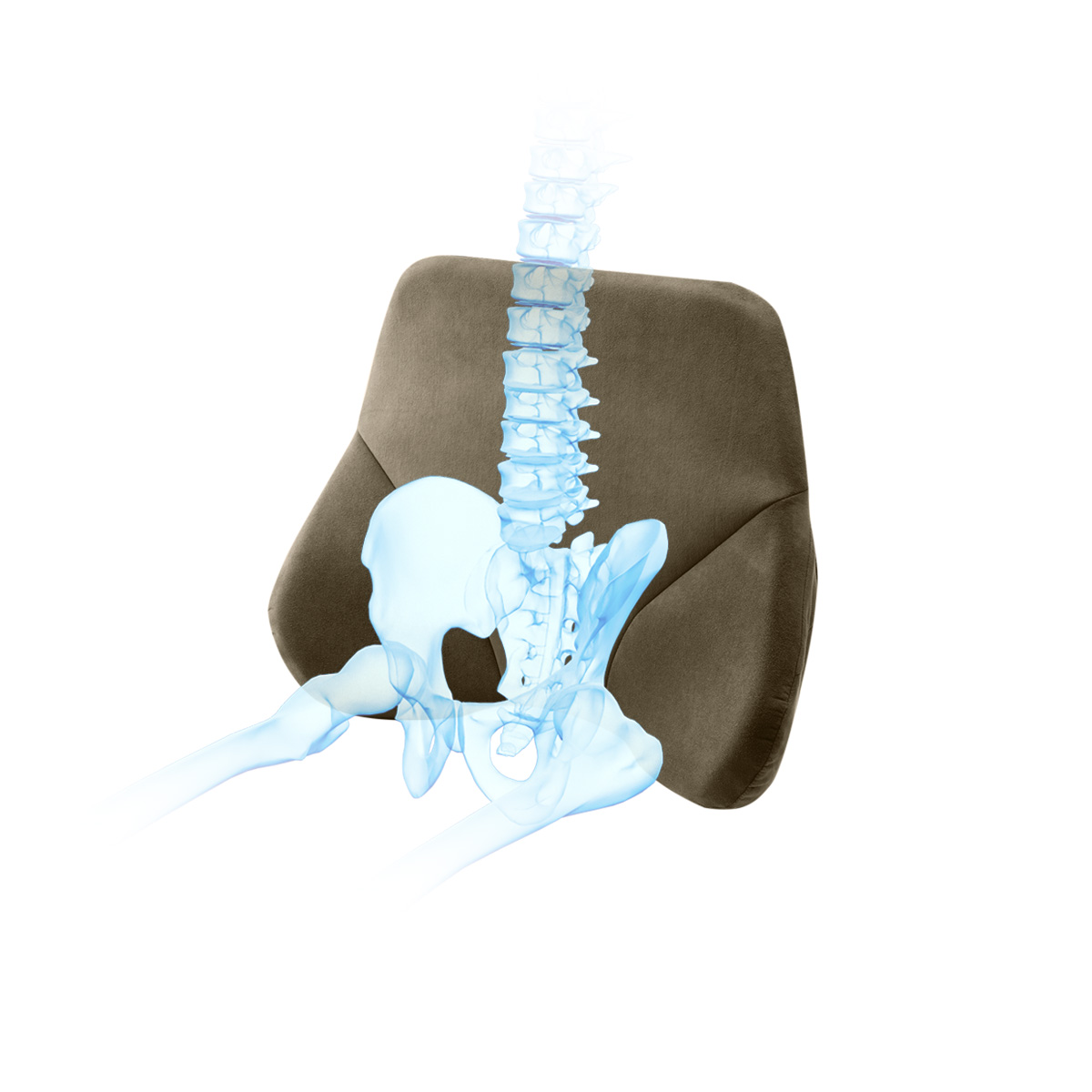 ザ・アウルバッククッションハイエスト