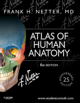 Atlas of Human Anatomy - 6th Edition | Elsevier Shop