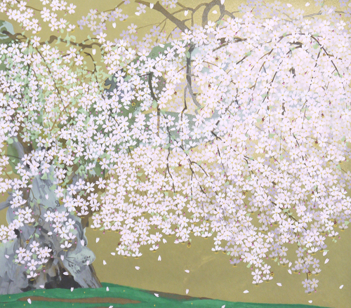 上賀茂神社の御所桜 | ｜正光画廊