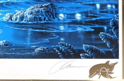 ラハイナスターライトⅡ | ｜正光画廊