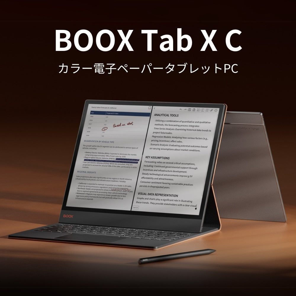 BOOX Tab X C 13インチ カラー電子ペーパー タブレットPC – SKTNETSHOP