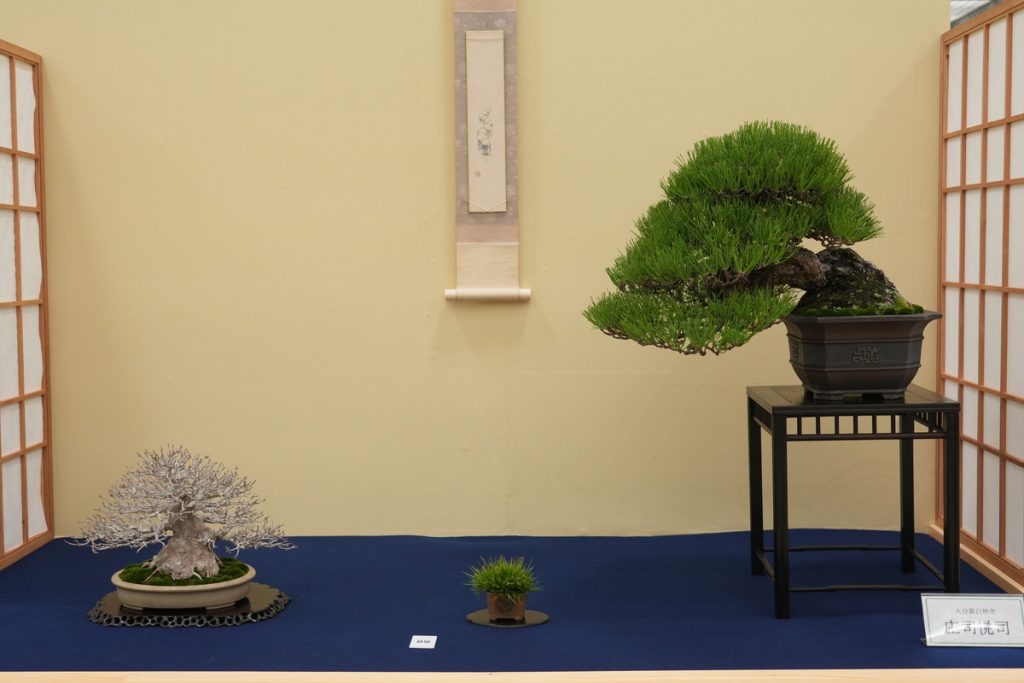 第51回 雅風展 出展席ご紹介 - 公益社団法人全日本小品盆栽協会