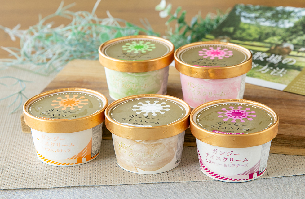 新潟直送計画】ガンジーアイスクリーム – 加勢牧場