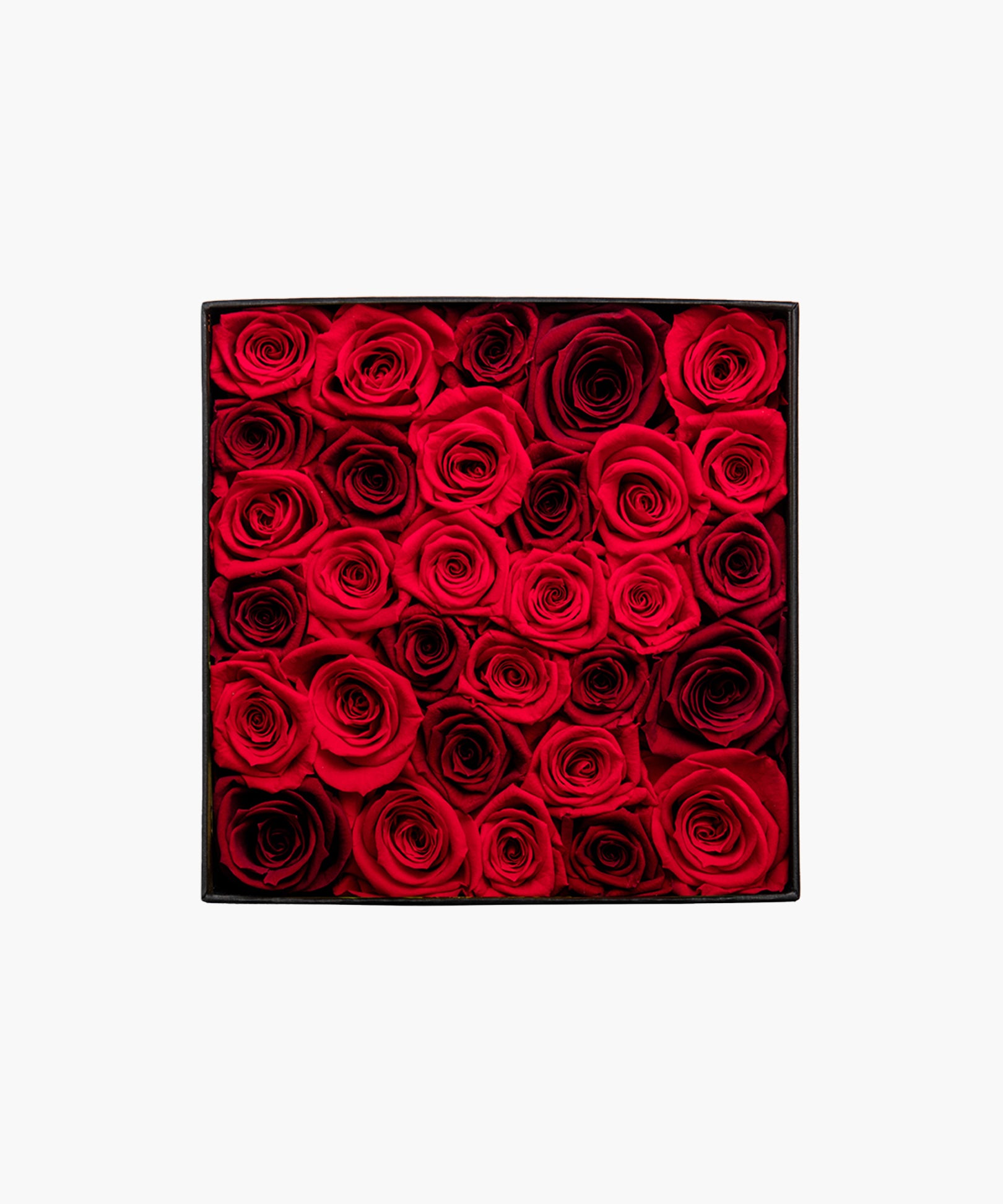 Red Rose Deluxe（レッド ローズ デラックス）