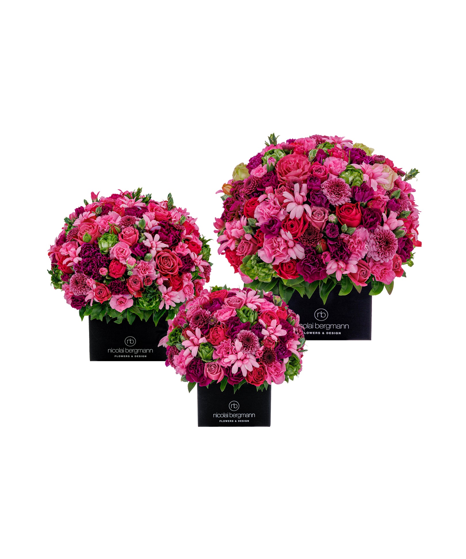 Color Crush（カラー クラッシュ）