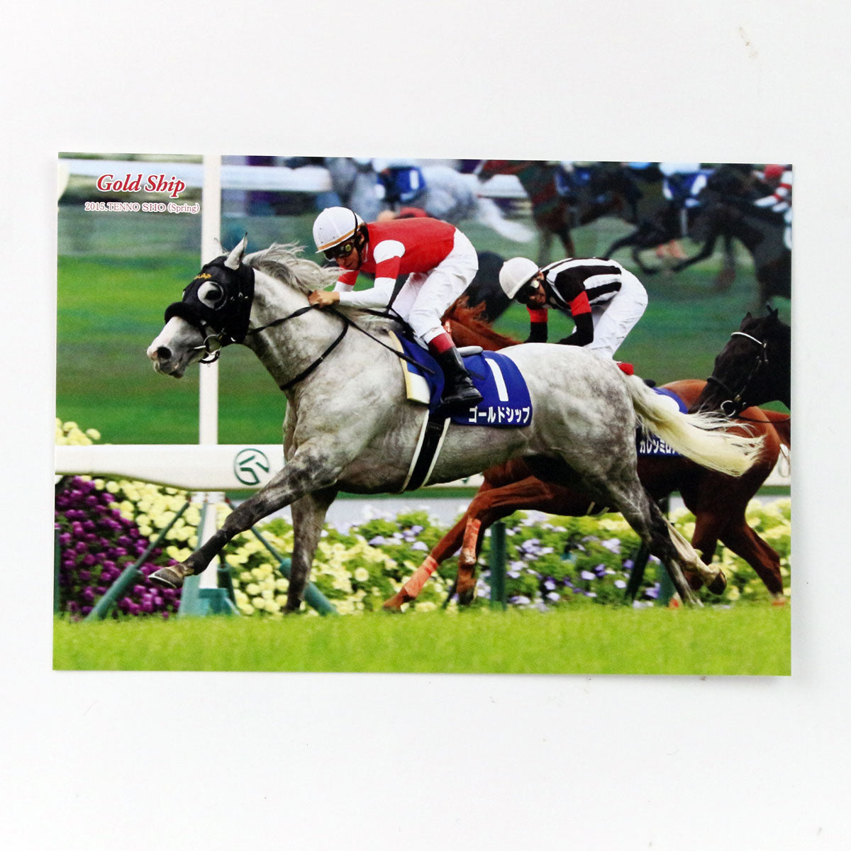 ゴールドシップ - 競馬グッズの通販サイト ノーザンホースパーク