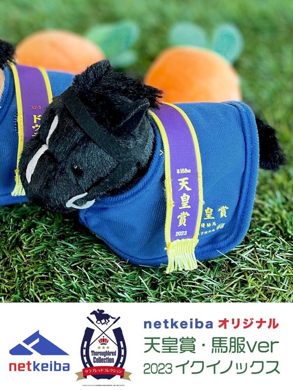 サラコレ】イクイノックスぬいぐるみ(BCサイズ)｜netkeiba