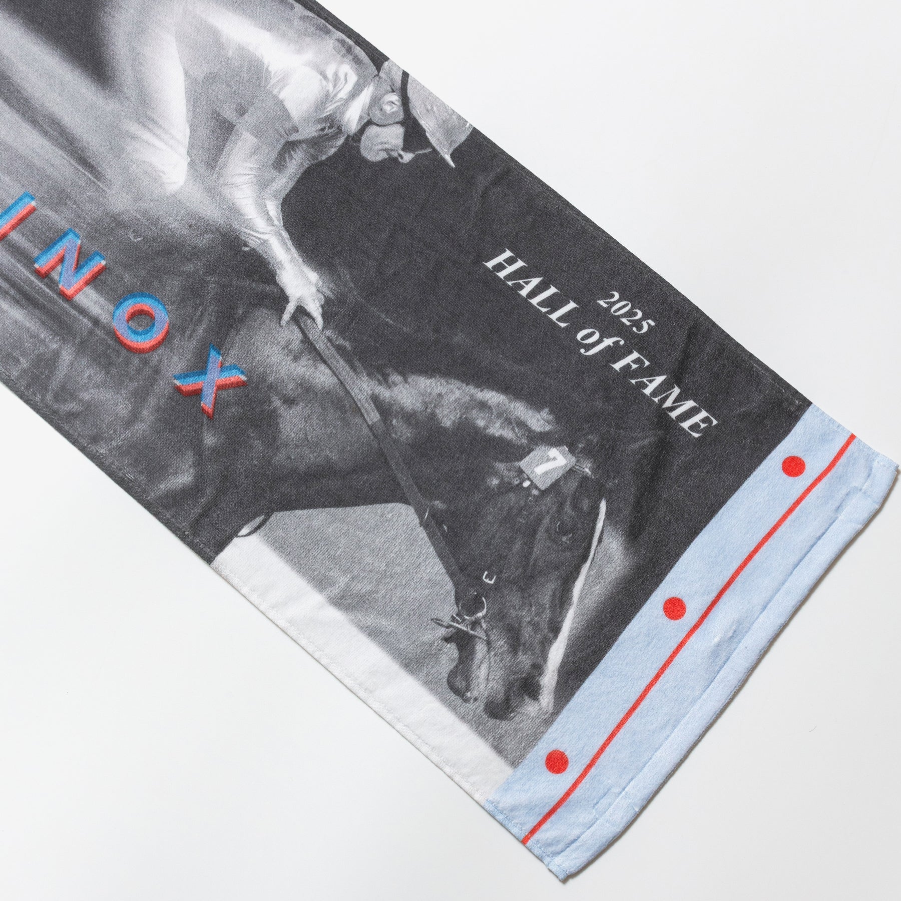 HORSE GOODS net】イクイノックス顕彰馬選定記念 タオル｜netkeiba