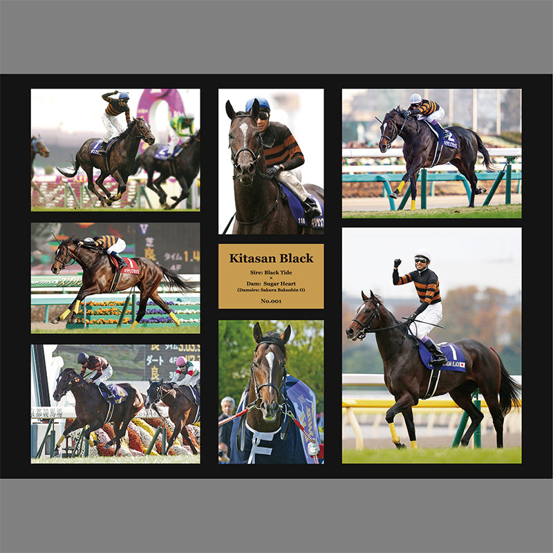 キタサンブラック・オリジナル写真パネル｜netkeiba