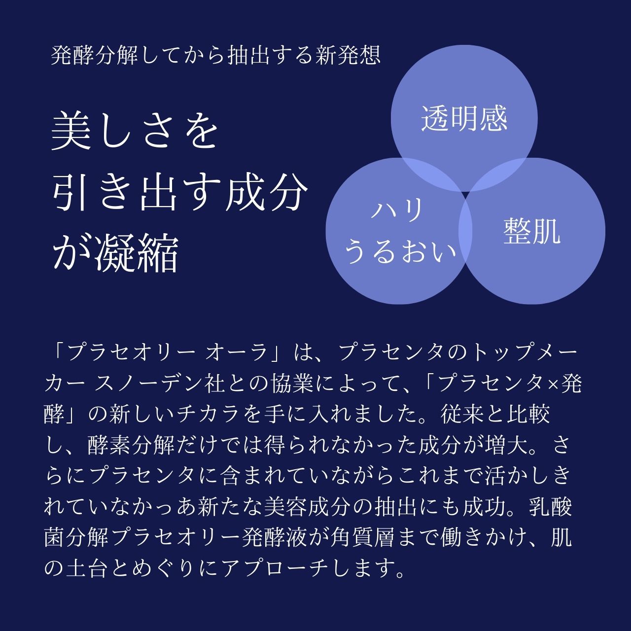 ダイアナ オンラインショップ / プラセオリー オーラ