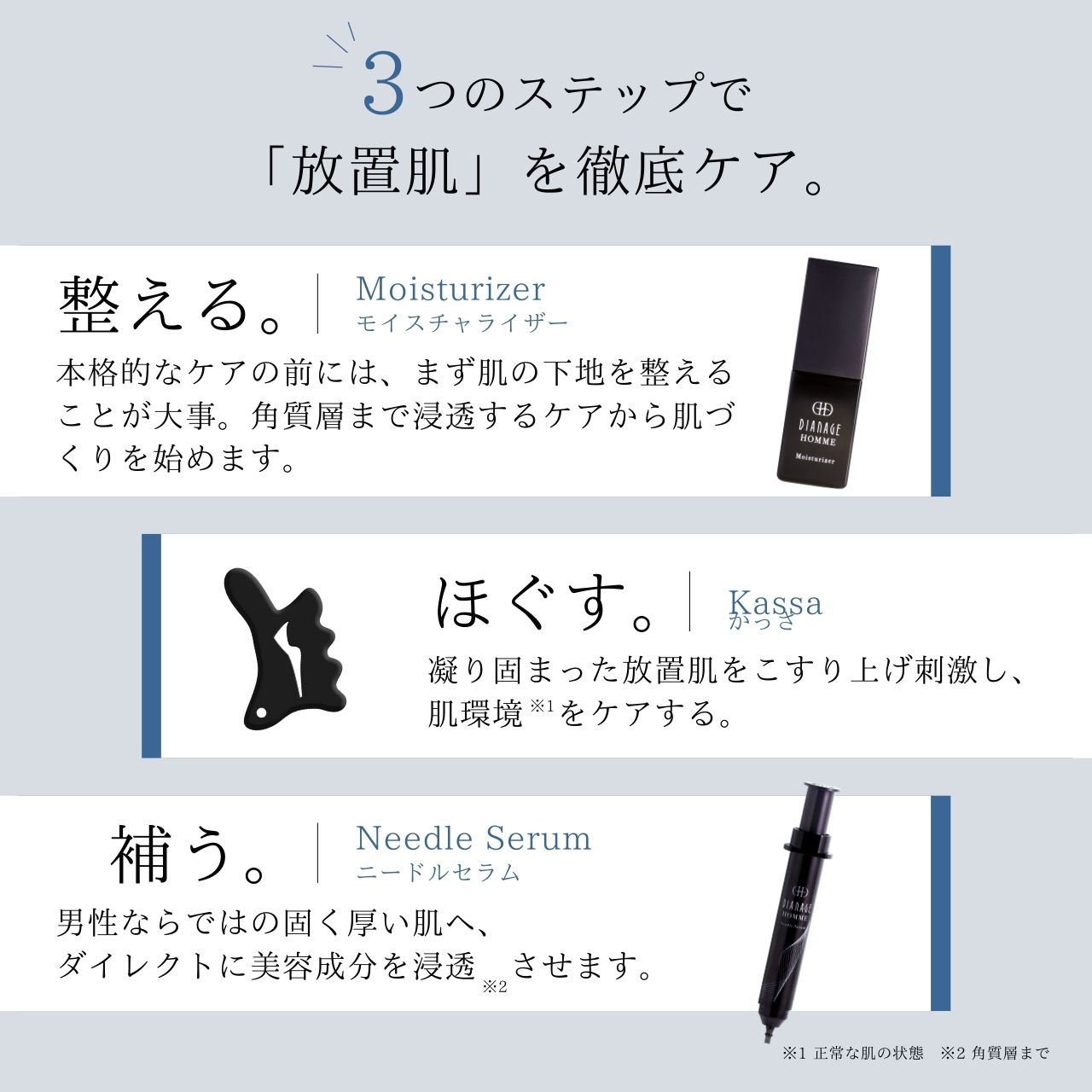 ダイアナ オンラインショップ / ディアナージュ オム ニードルセラム