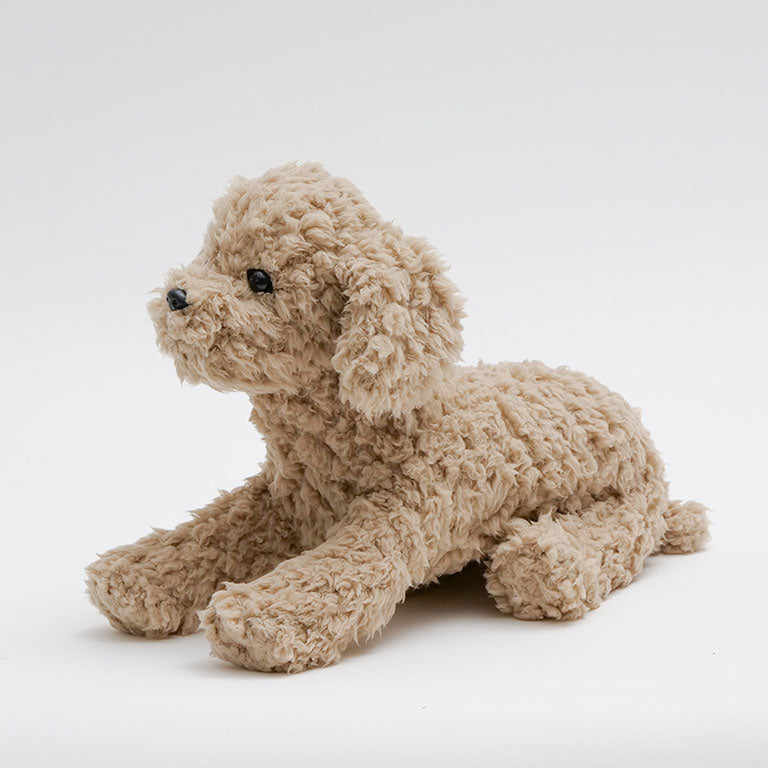 テディプードル ベージュ | DOGBASE YOKOHAMA