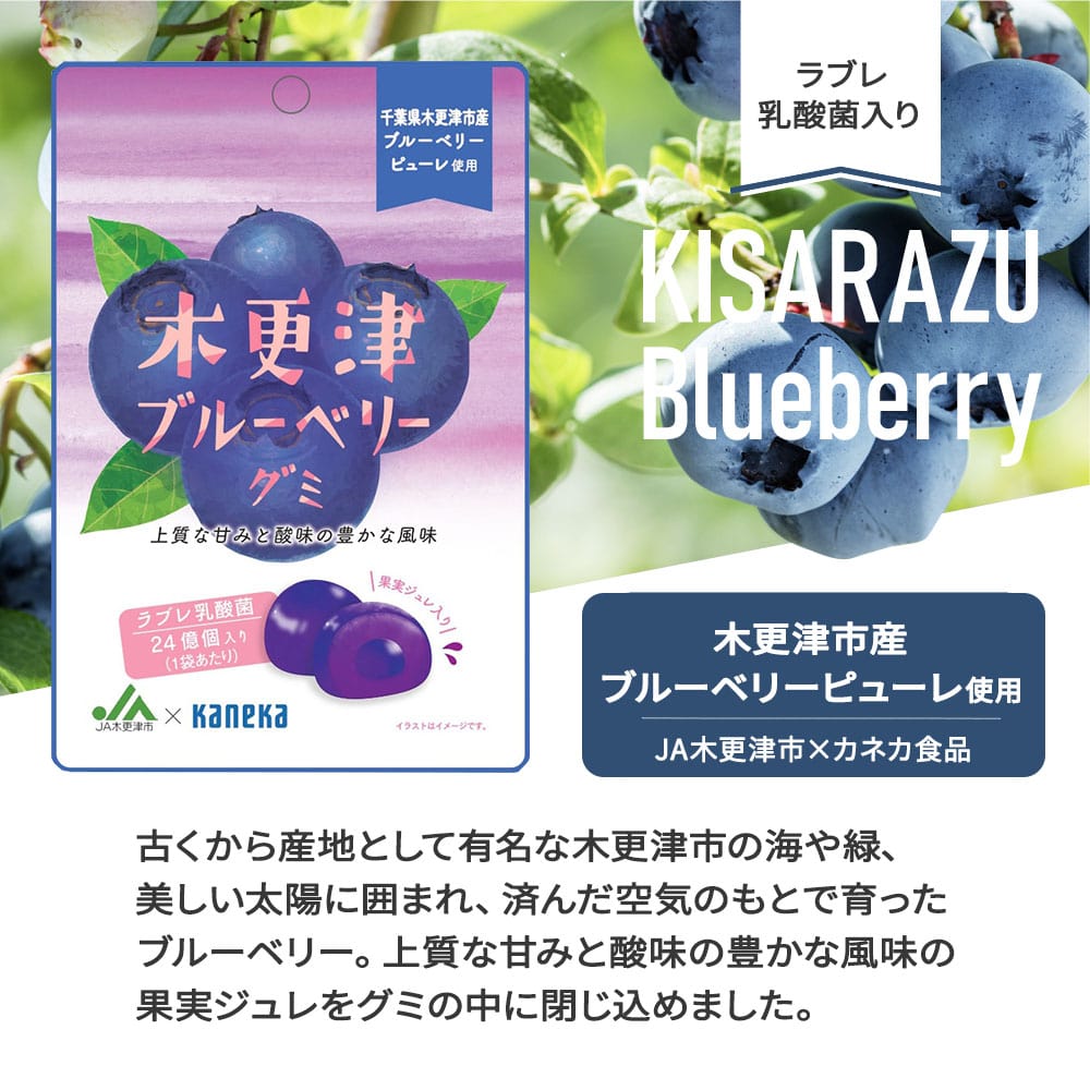 JA×カネカ食品 ラブレ乳酸菌入りグミ 木更津ブルーベリー 40g ＜1袋