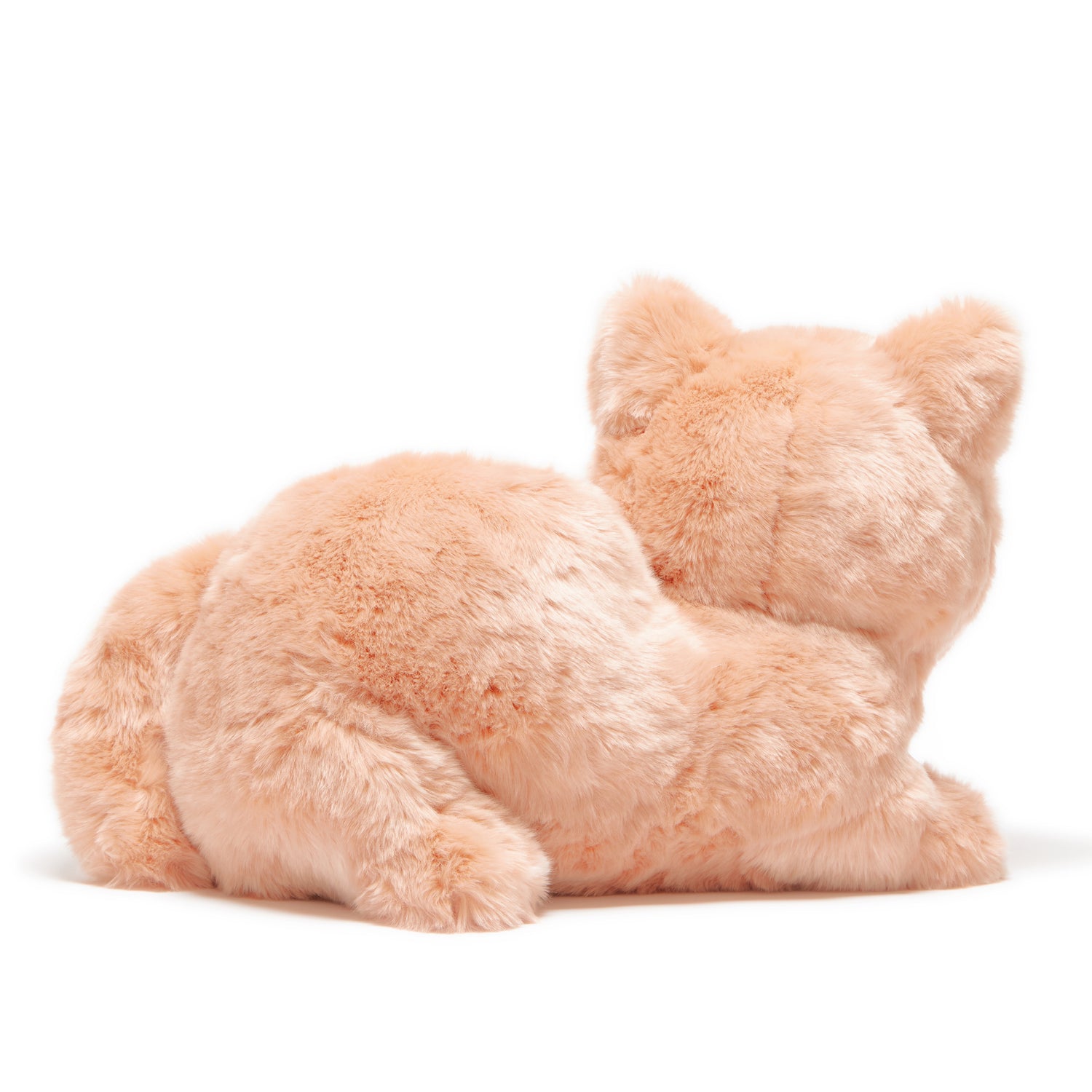 リイシューねこちゃん Grande / Terracotta – KENSHI YONEZU ONLINE STORE