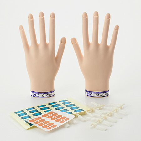 楽天市場】JNEC認定 STモデルハンド 3点セット ネイルチップ/ルース