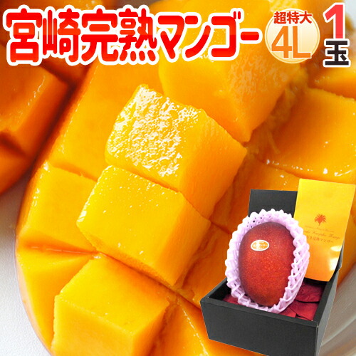 楽天市場】”宮崎完熟マンゴー” 秀品 4Lサイズ 5玉 3kg以上 化粧箱 宮崎