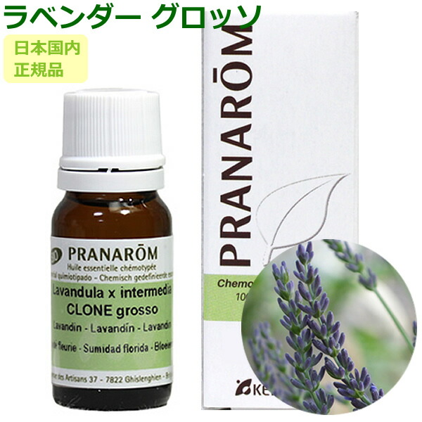 楽天市場】プラナロム AOP ラベンダー アングスティフォリア