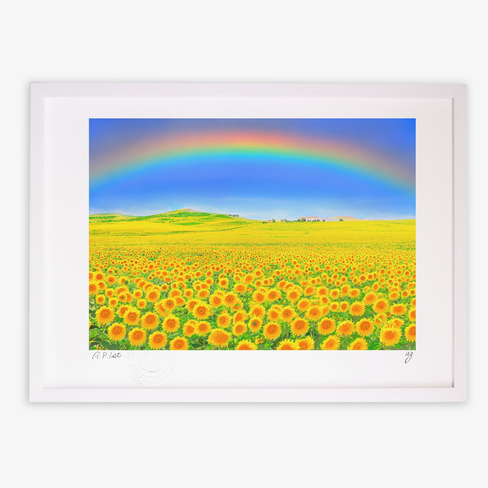 楽天市場】【スーパーSALE半額】版画 絵画 ひまわりの丘1 スペイン