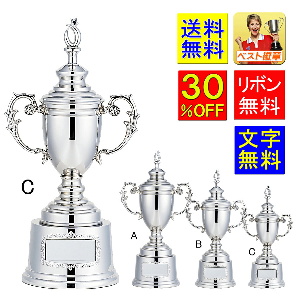 楽天市場】優勝カップ 高さ195mm 送料無料 文字無料 銀（シルバー