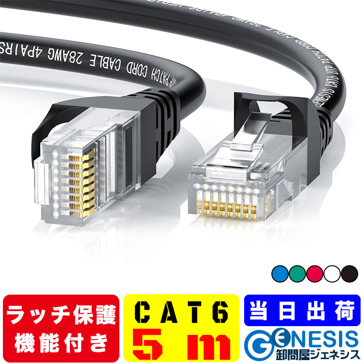 cat6_5.jpg