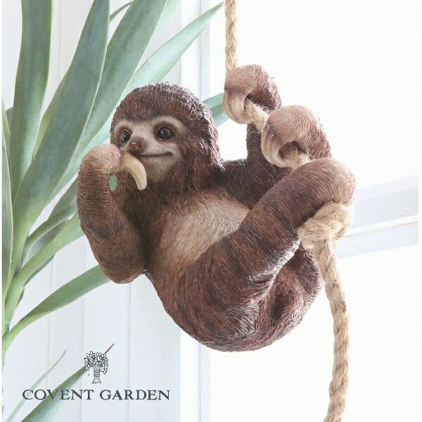 楽天市場】【特典付き】 ベイビー・スロース なまけもの ナマケモノ