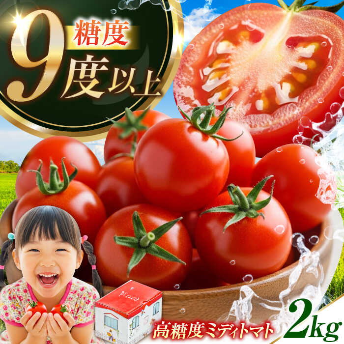 楽天市場】【ふるさと納税】【11月上旬〜翌年6月末まで順次発送