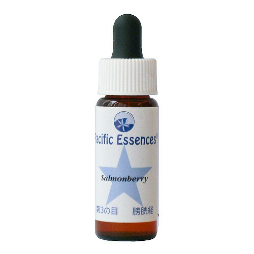 楽天市場】バニラリーフ《パシフィックエッセンス》7.5ml