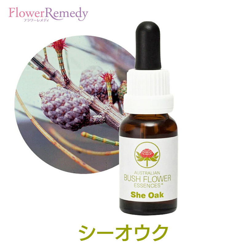 楽天市場】ビーナスオーキッド クリーム《コルテPHIエッセンス》60g