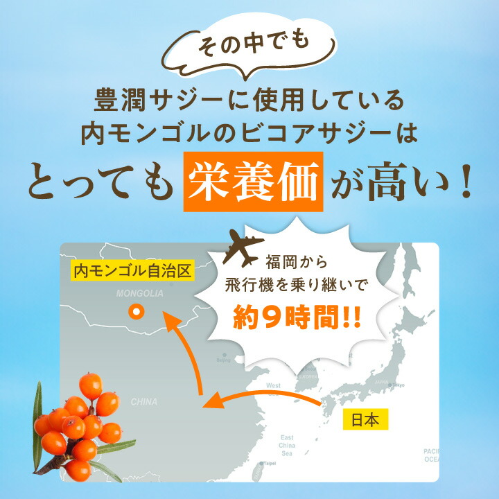 豊潤サジー 1000ml サジージュース【紙パックタイプ】 公式 フィネス