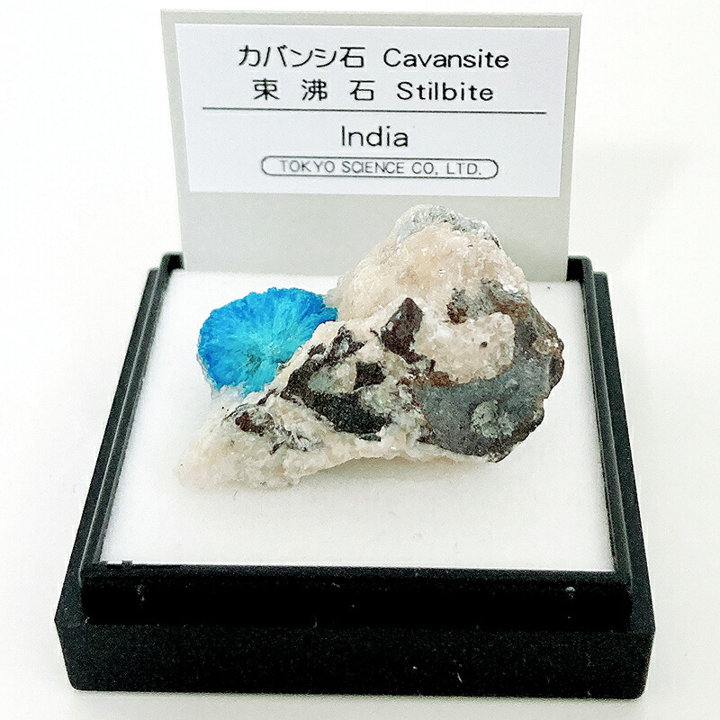 楽天市場】スコレス沸石（インド） 鉱物 標本 東京サイエンス ミニ鉱物