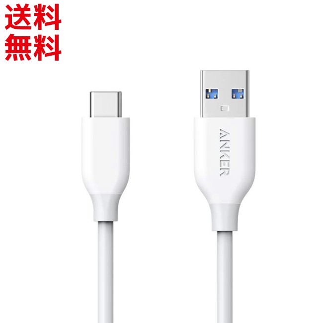 楽天市場】[新品未使用・即納] Apple純正 Apple Pencil (USB-C