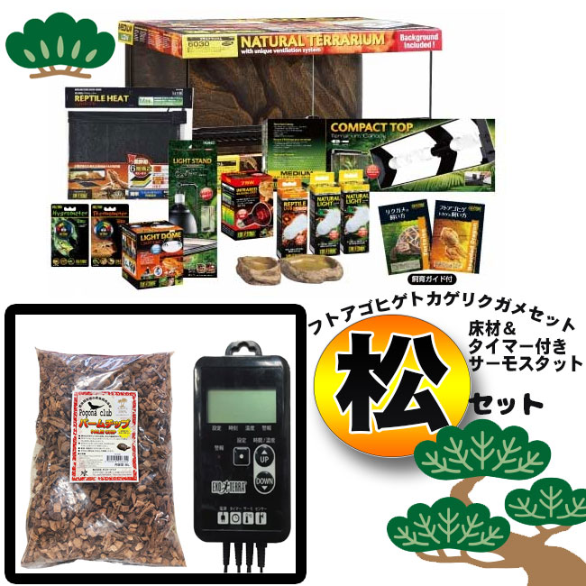 楽天市場】【初心者向け】フトアゴヒゲトカゲ＆リクガメ飼育セットA