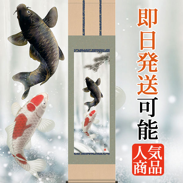 楽天市場】掛け軸 掛軸（かけじく）販売夫婦昇鯉（森山 観月）夫婦鯉