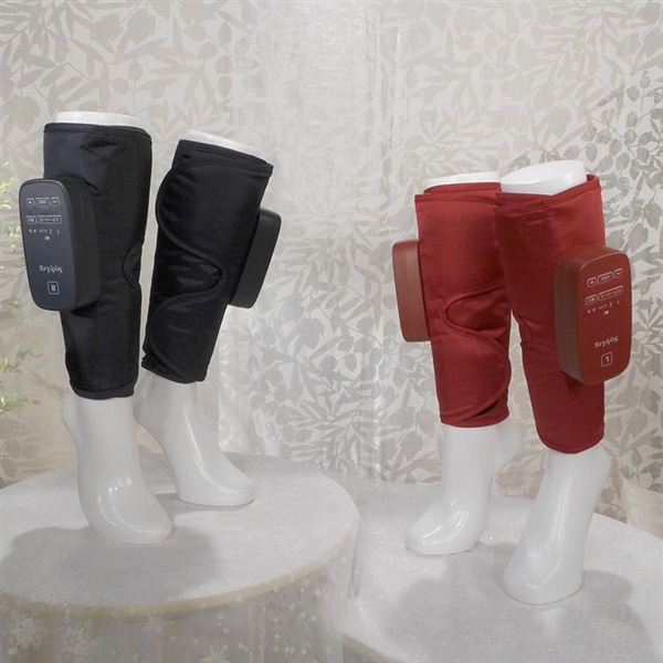 フィットネスクラブがつくったスタイリーレッグ(レッド): 美容・健康