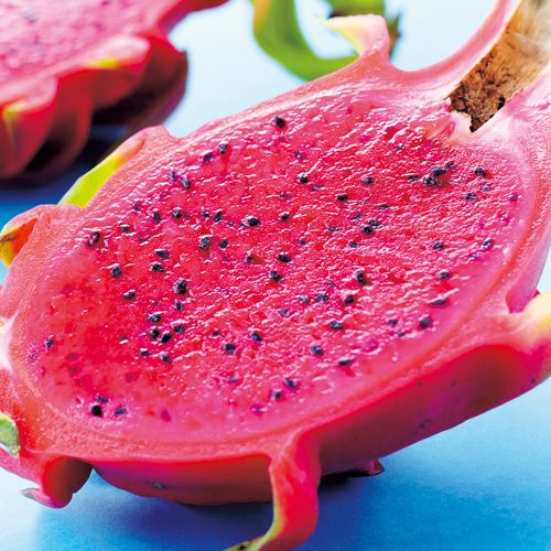 750-NTF189.jpg?202602031613