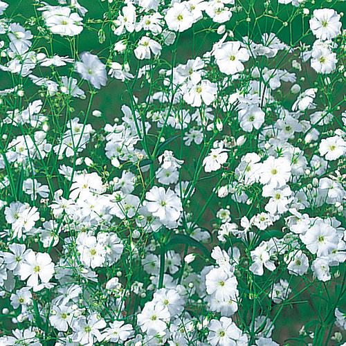 739-FKS111.jpg?202602031613