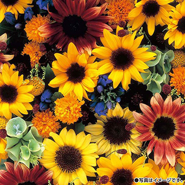 785-FHM604.jpg?202602031613