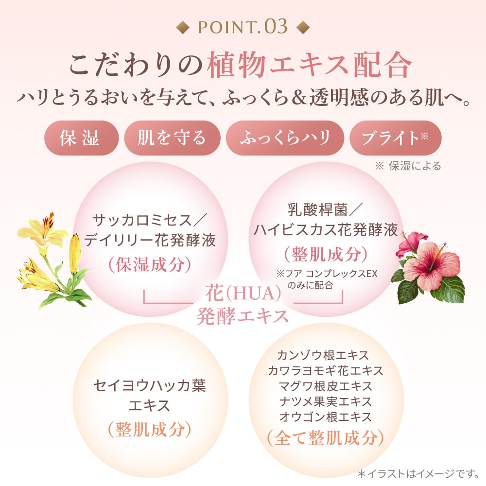 販売終了】フア コンプレックスEX_30g: 期間限定｜TBCオンラインショップ