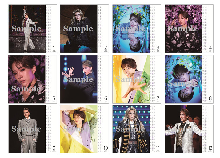 宝塚歌劇ステージカレンダー 2020年版  表裏両面写真26枚 2026年宝塚ステージカレンダー(壁掛け): カレンダー・スケジュール帳