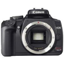 ネイチャースナップのすすめ｜格安中古で学ぶ一眼レフの基礎【露出編