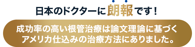 ドクター専用！論文が導く正しい歯内療法世界的エビデンスに基づく根管