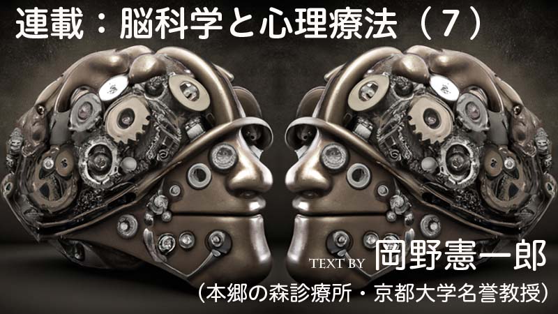 脳科学と心理療法（7）解離性障害の脳科学・その2──人間の脳は