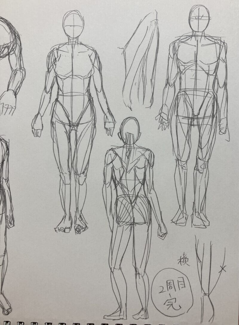 イラスト修行】モルフォ人体デッサン2週目終了。クロッキーは学んで