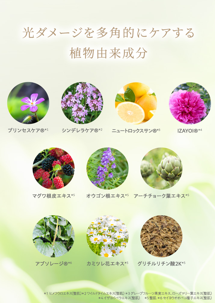 エステサロン品質、ゲル化粧品のラシンシア公式ショップホワイツエクス